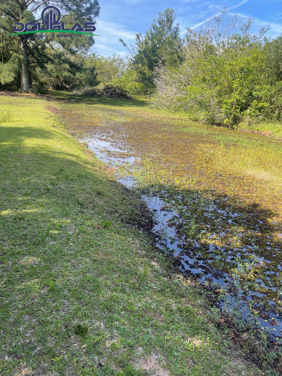 Prédio Inteiro - Foto 2