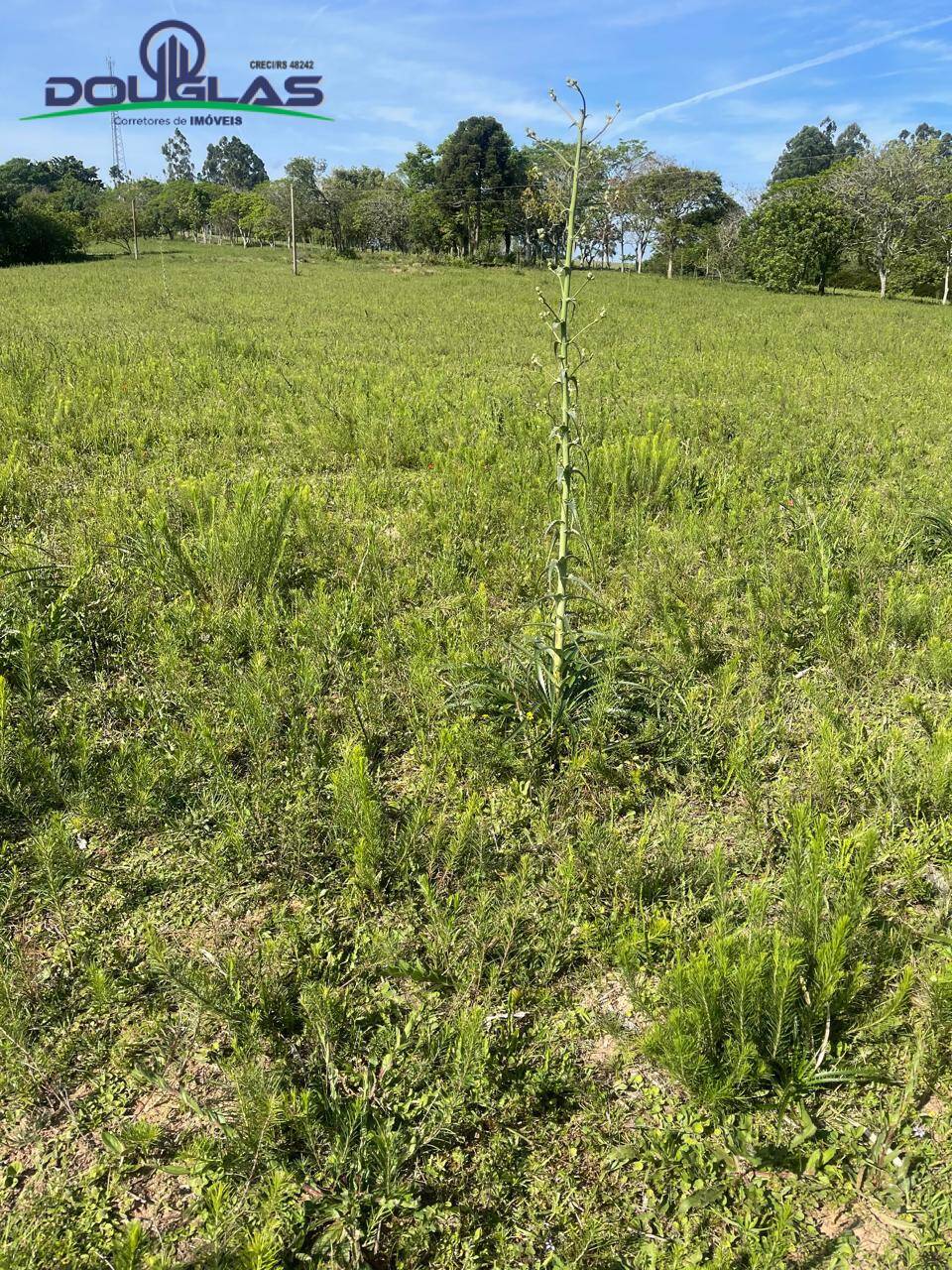 Prédio Inteiro - Foto 15