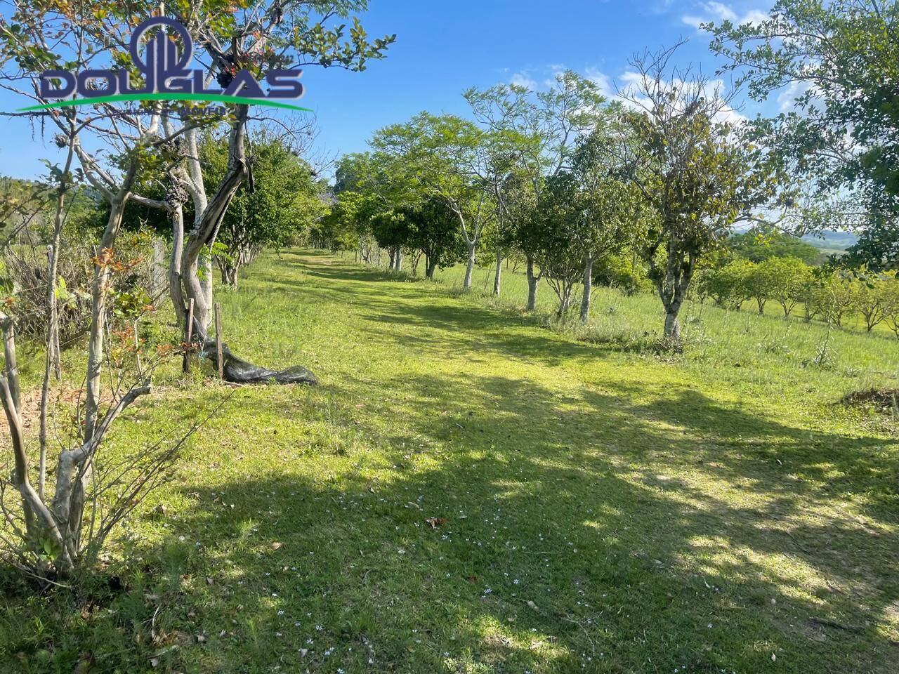 Prédio Inteiro - Foto 17