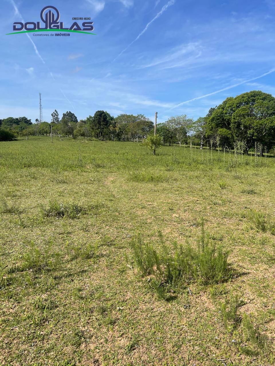 Prédio Inteiro - Foto 18