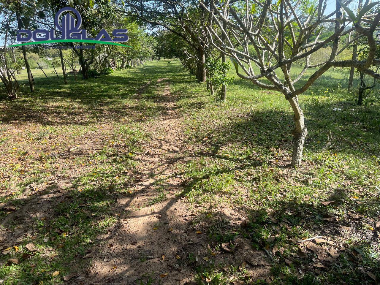 Prédio Inteiro - Foto 19