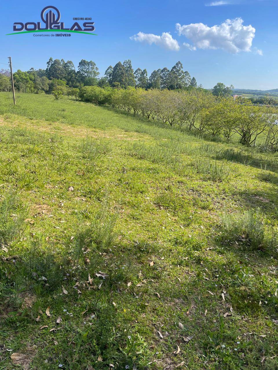 Prédio Inteiro - Foto 22