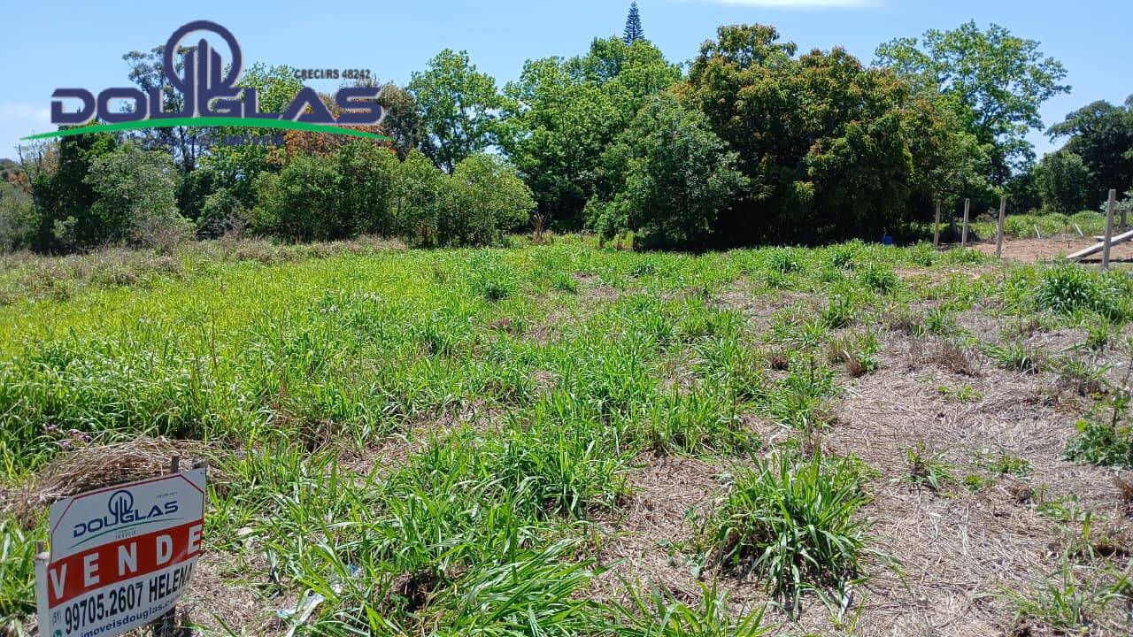 Terreno, 300 m² - Foto 5