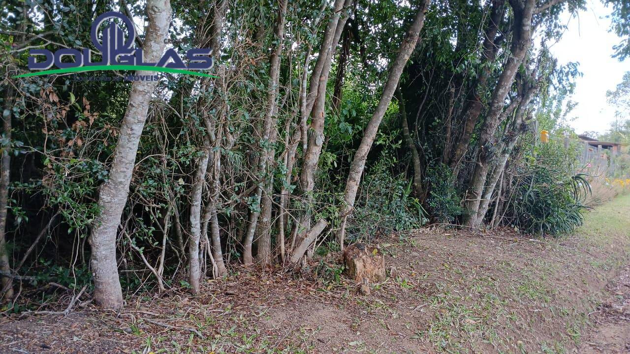 Terreno, 800 m² - Foto 1