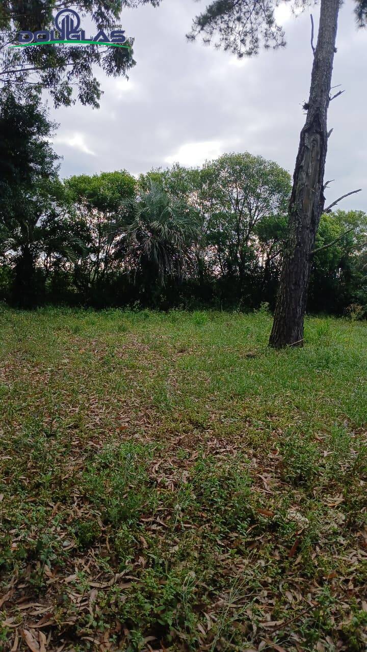 Terreno, 800 m² - Foto 3