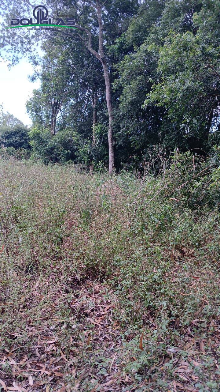 Terreno, 800 m² - Foto 5