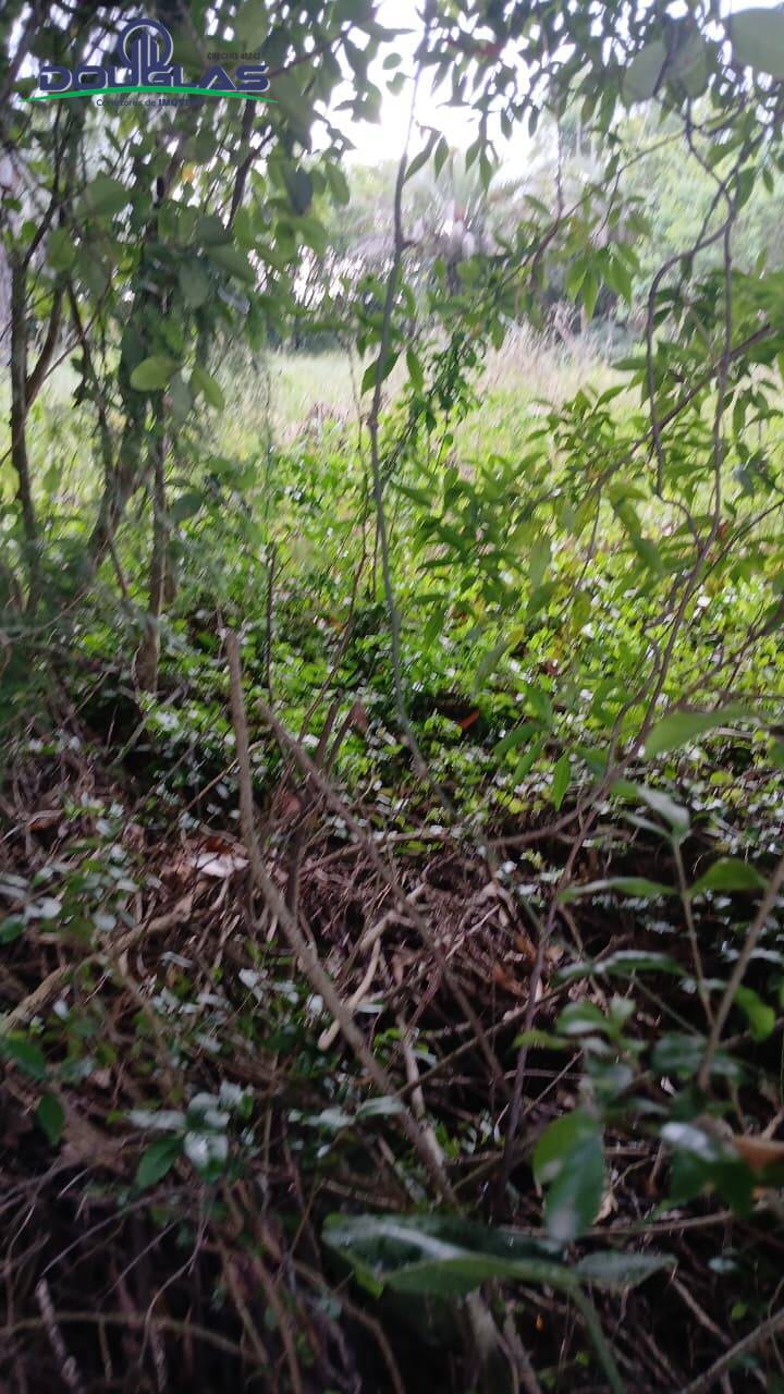 Terreno, 800 m² - Foto 8