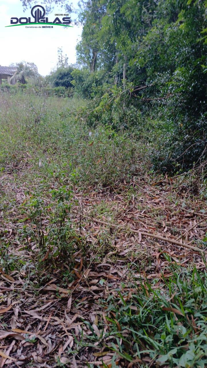 Terreno, 800 m² - Foto 7