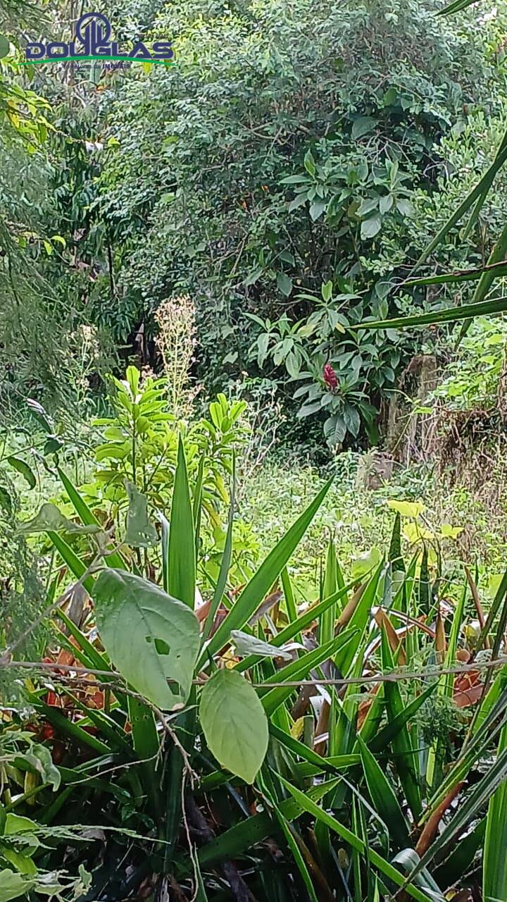 Terreno, 800 m² - Foto 2