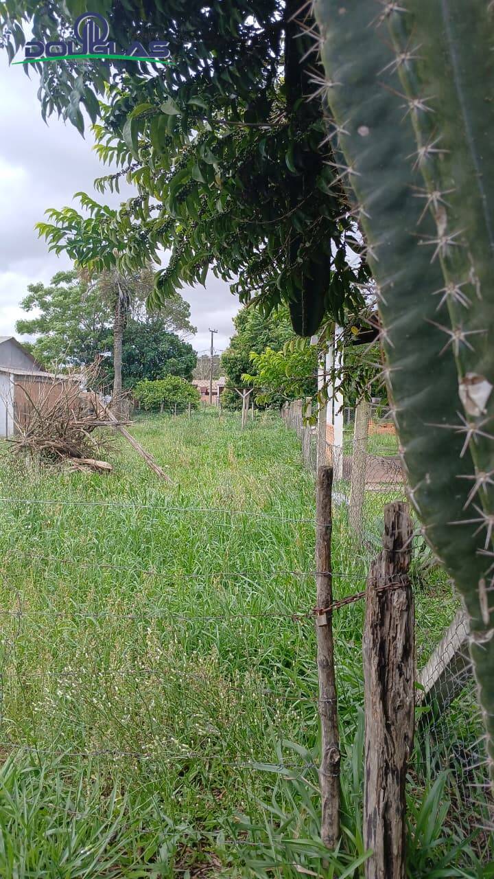 Terreno, 360 m² - Foto 5