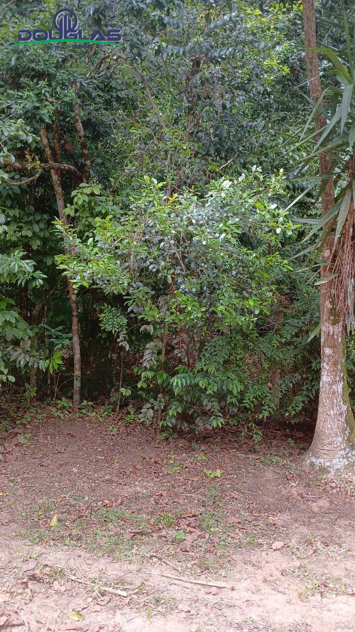 Terreno, 600 m² - Foto 2