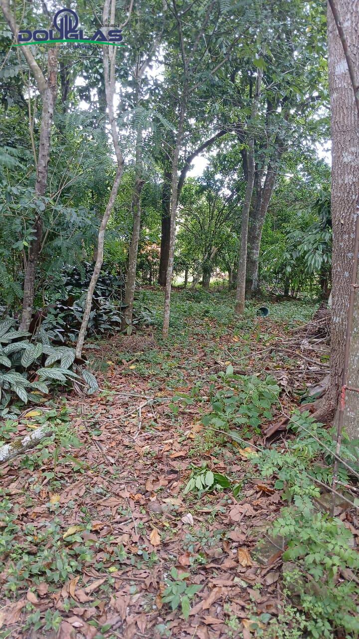 Terreno, 600 m² - Foto 3