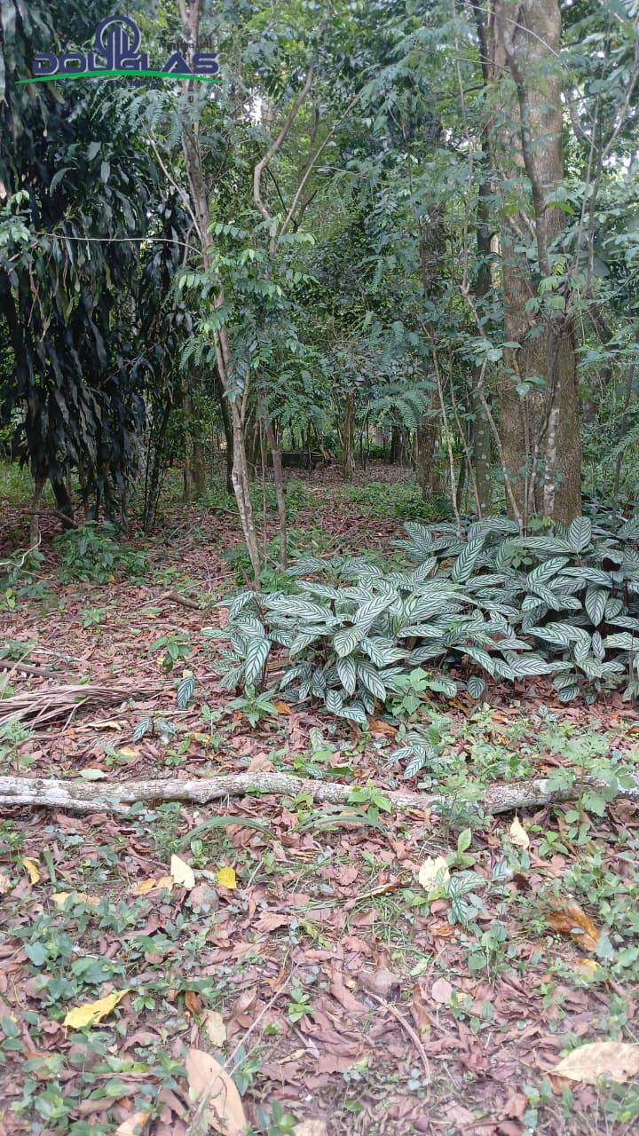 Terreno, 600 m² - Foto 4