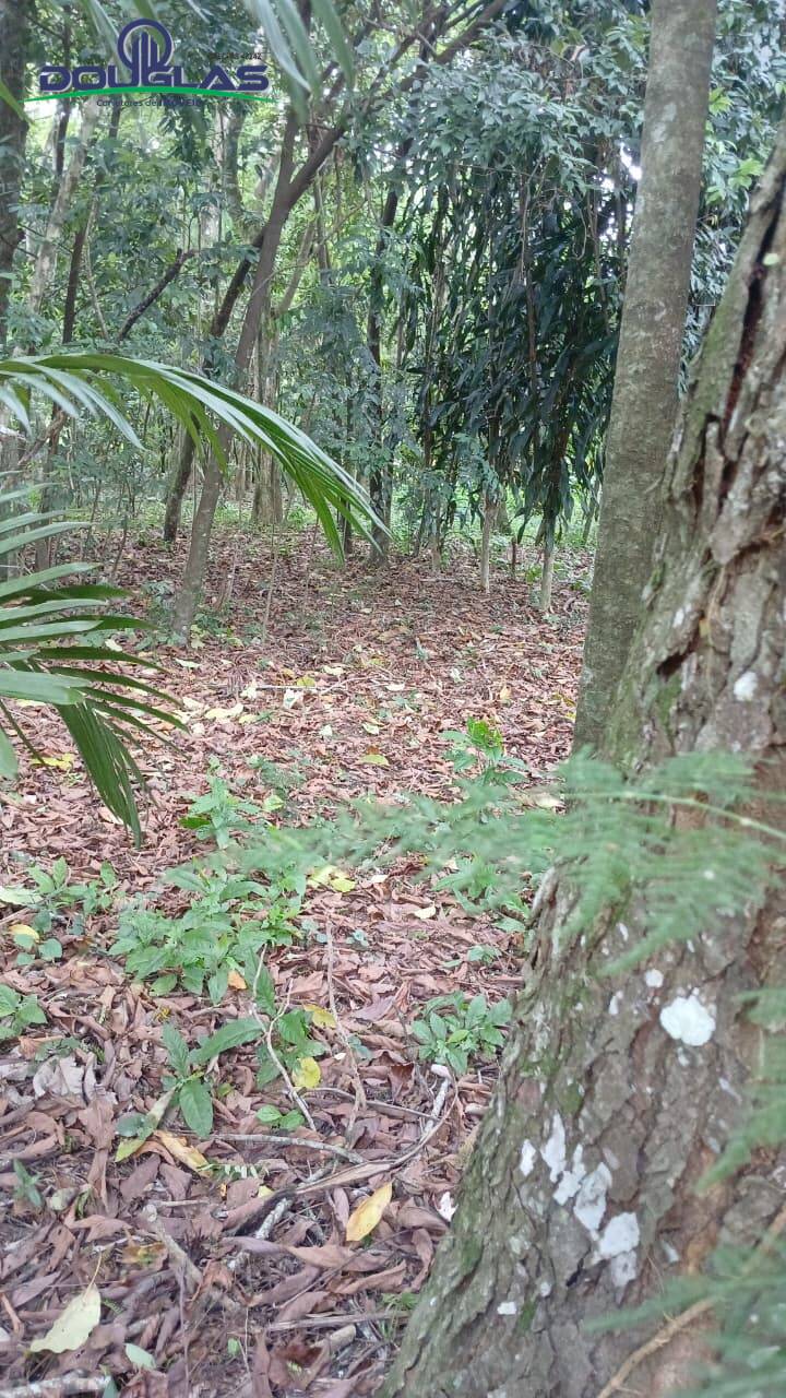 Terreno, 600 m² - Foto 4