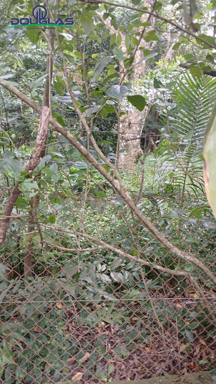 Terreno, 600 m² - Foto 2