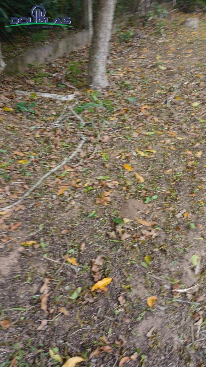 Terreno, 600 m² - Foto 4