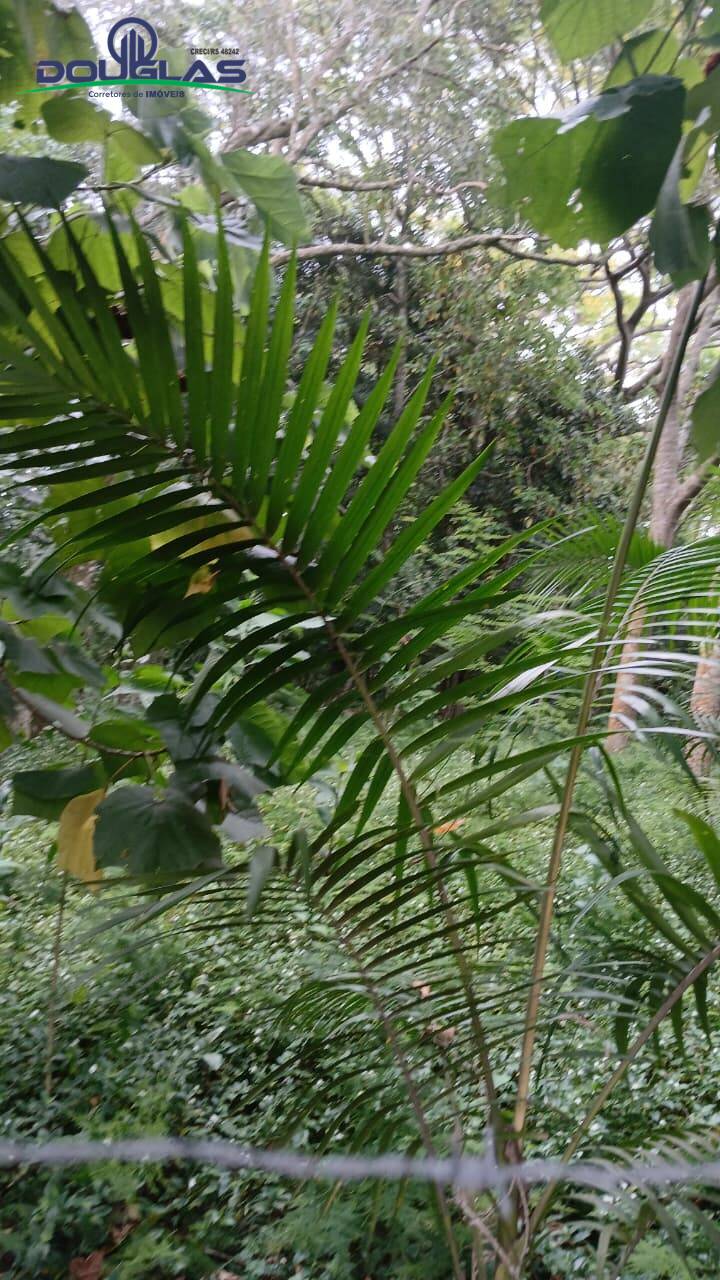 Terreno, 600 m² - Foto 1