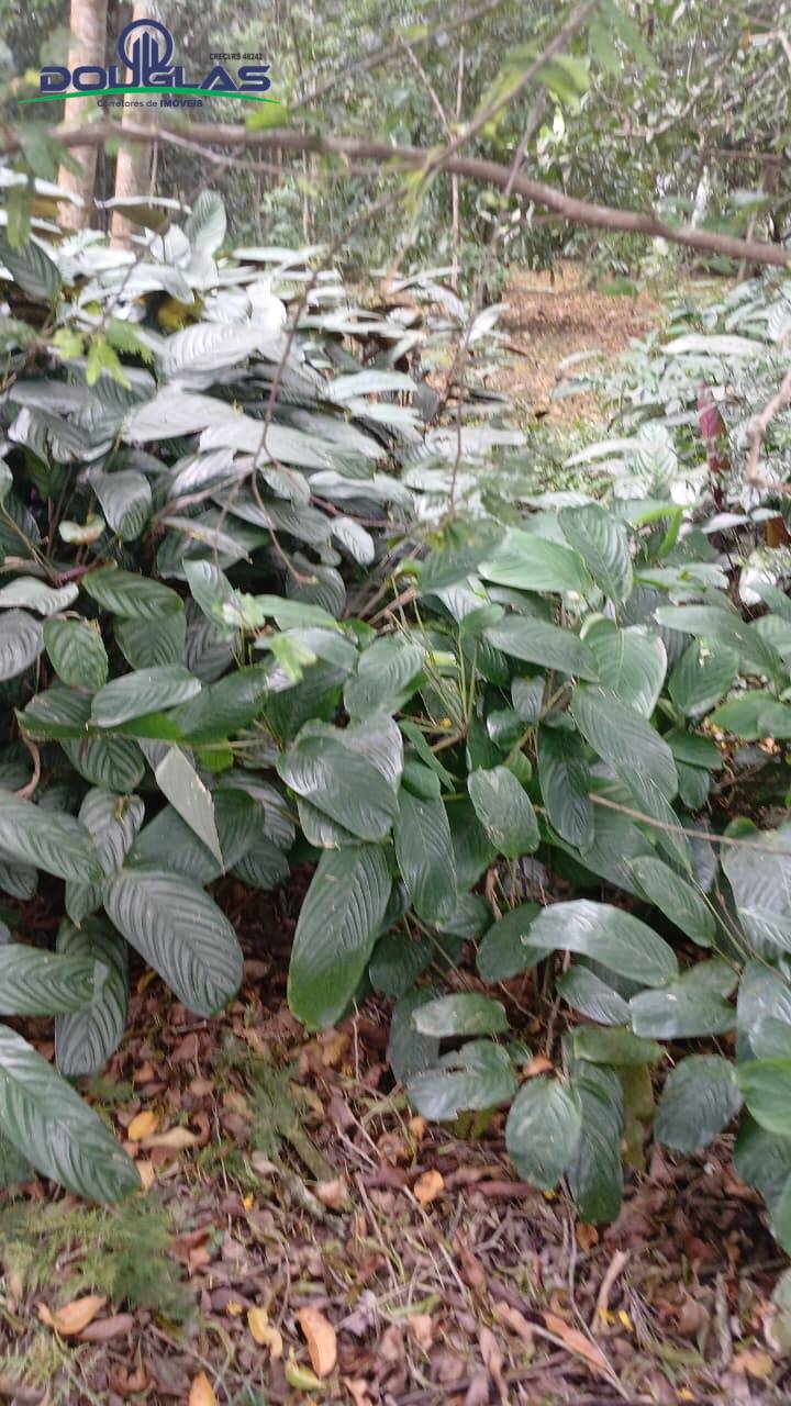 Terreno, 2400 m² - Foto 1