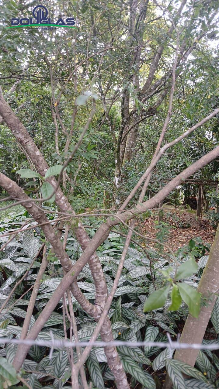 Terreno, 2400 m² - Foto 2