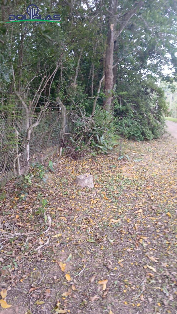 Terreno, 2400 m² - Foto 3