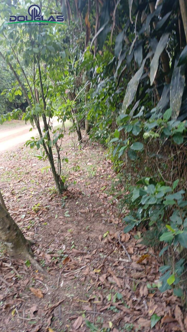 Terreno, 2400 m² - Foto 7