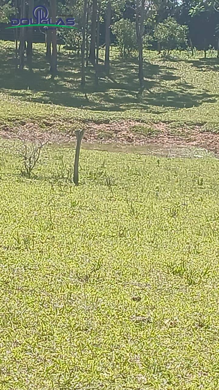 Terreno, 2 hectares - Foto 22