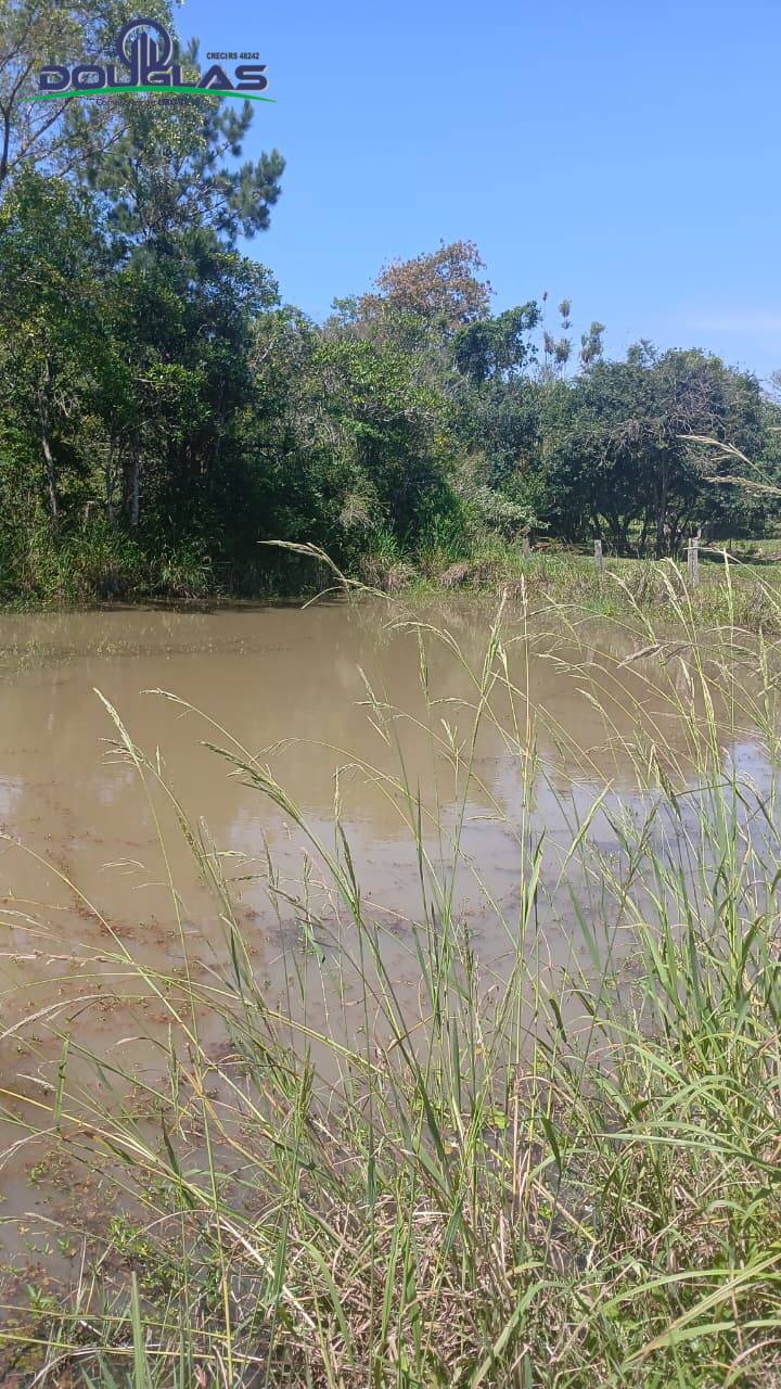 Terreno, 2 hectares - Foto 11