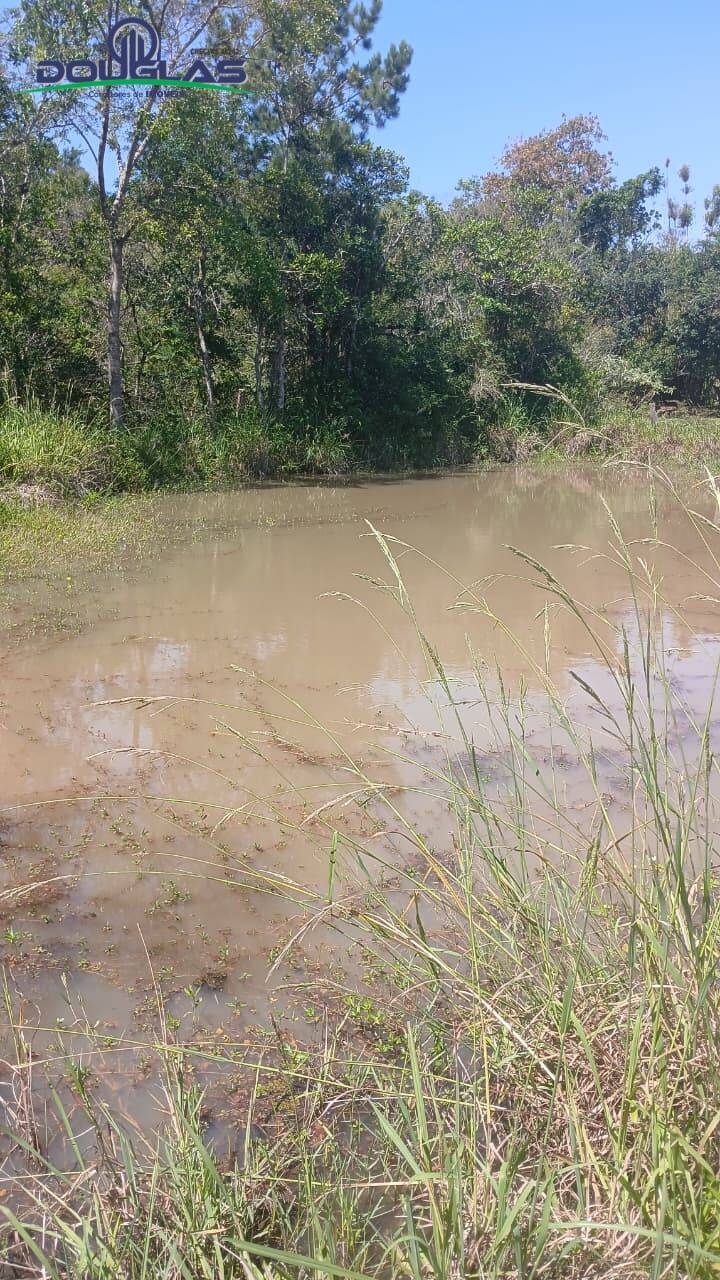 Terreno, 2 hectares - Foto 10