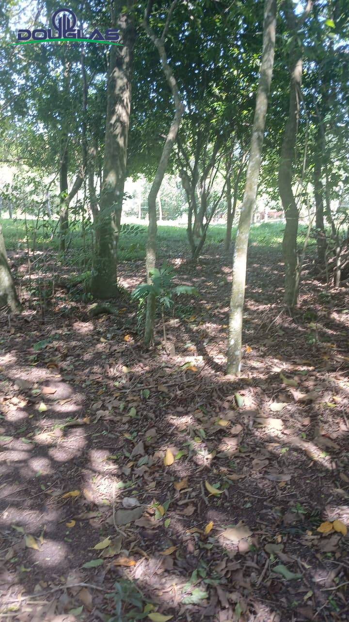 Terreno, 2 hectares - Foto 18