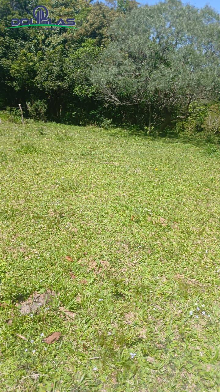 Terreno, 2 hectares - Foto 16