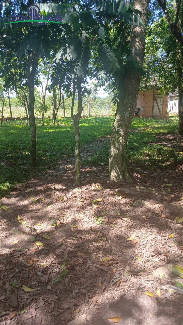 Terreno, 2 hectares - Foto 17