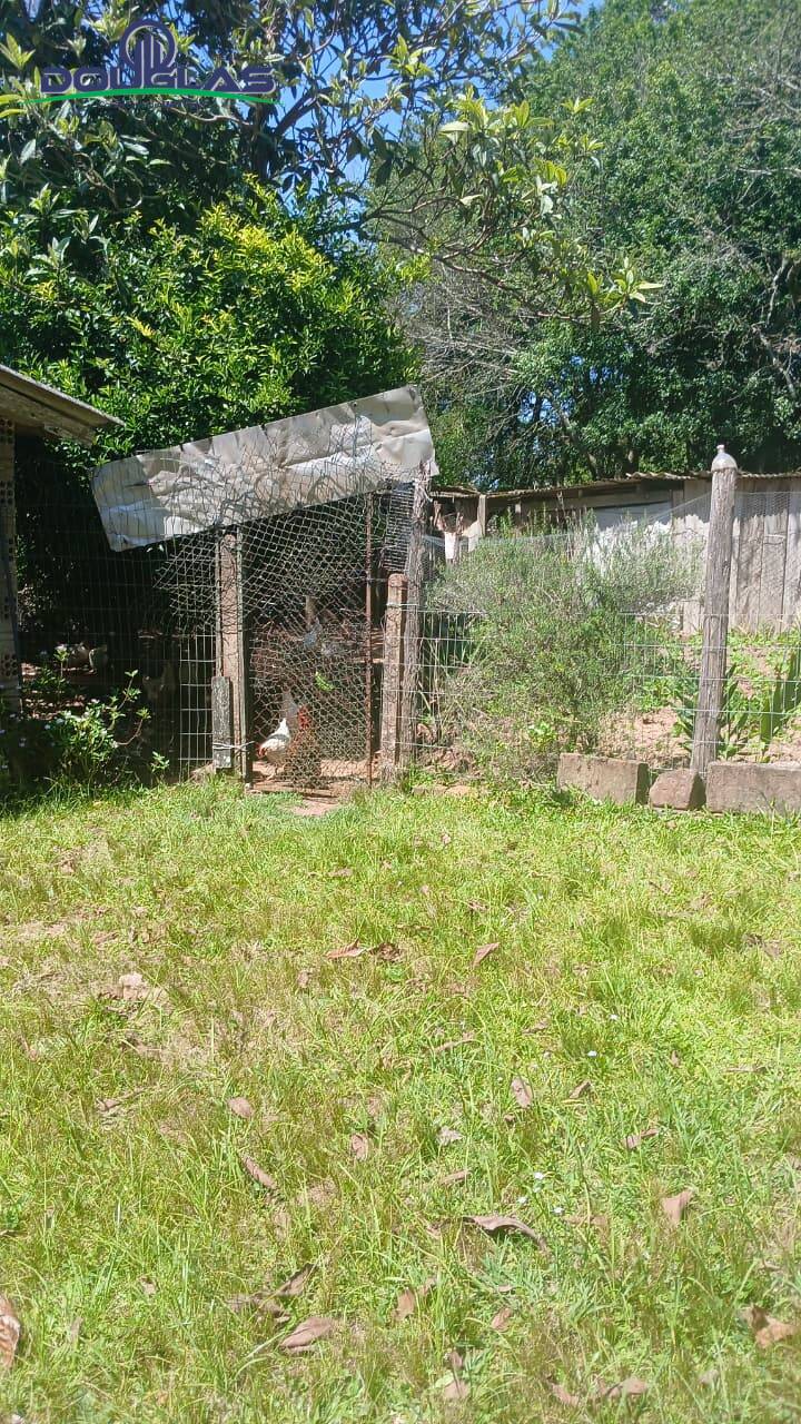 Terreno, 2 hectares - Foto 14