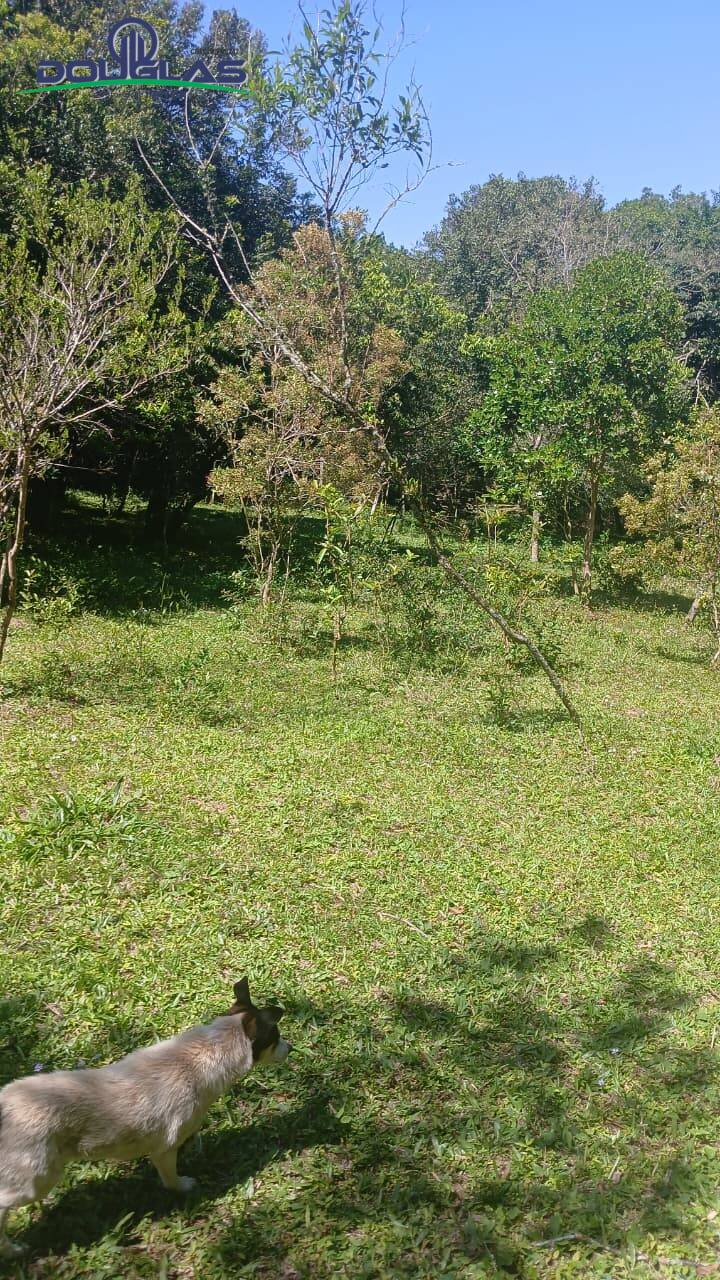 Terreno, 2 hectares - Foto 23