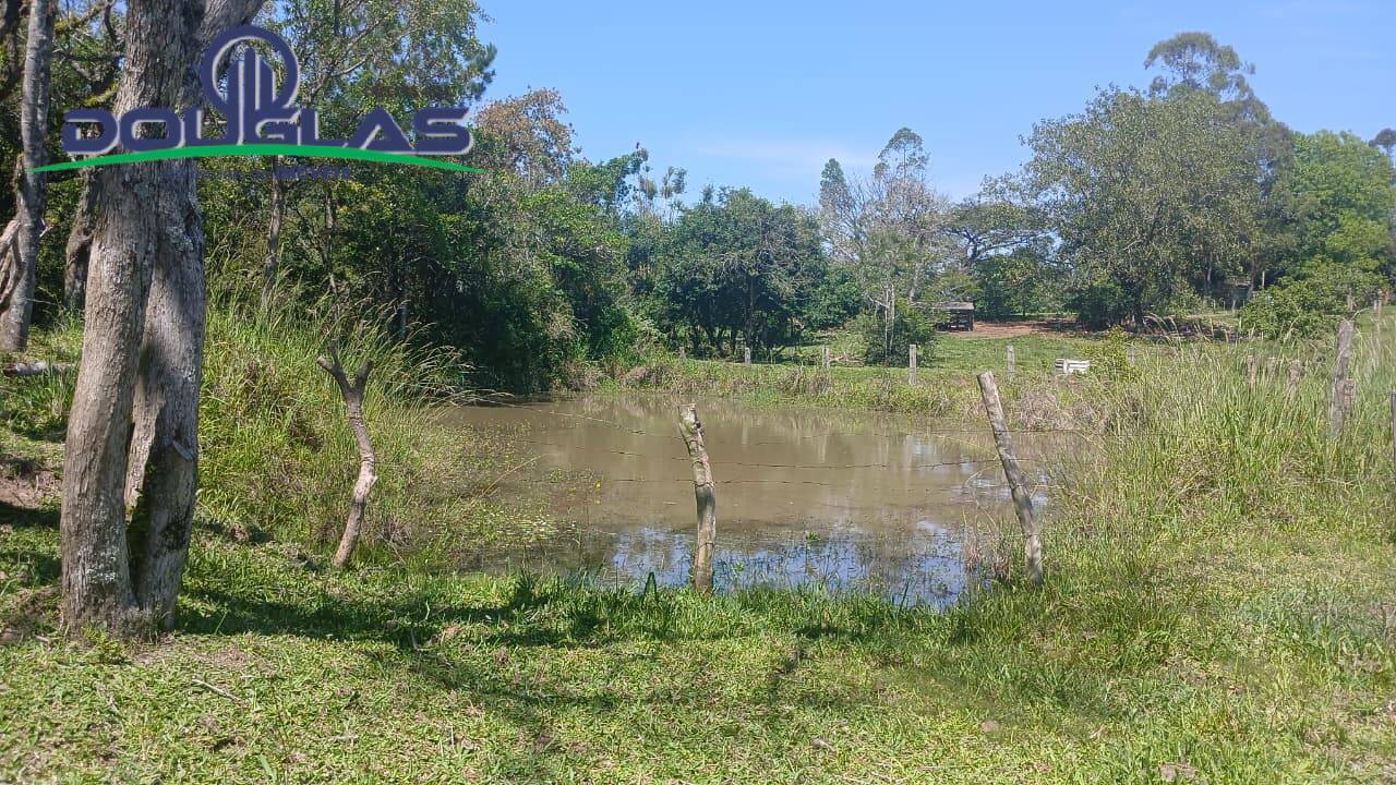 Terreno, 2 hectares - Foto 24