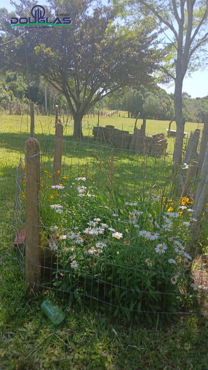 Terreno, 2 hectares - Foto 26