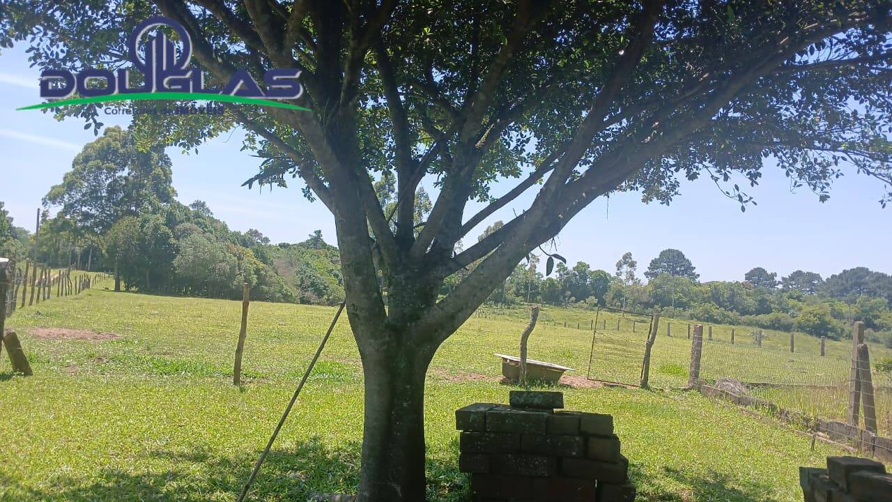 Terreno, 2 hectares - Foto 27