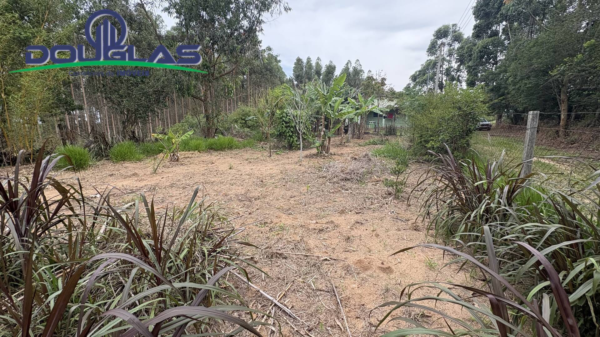 Casa, 2 quartos - Foto 13