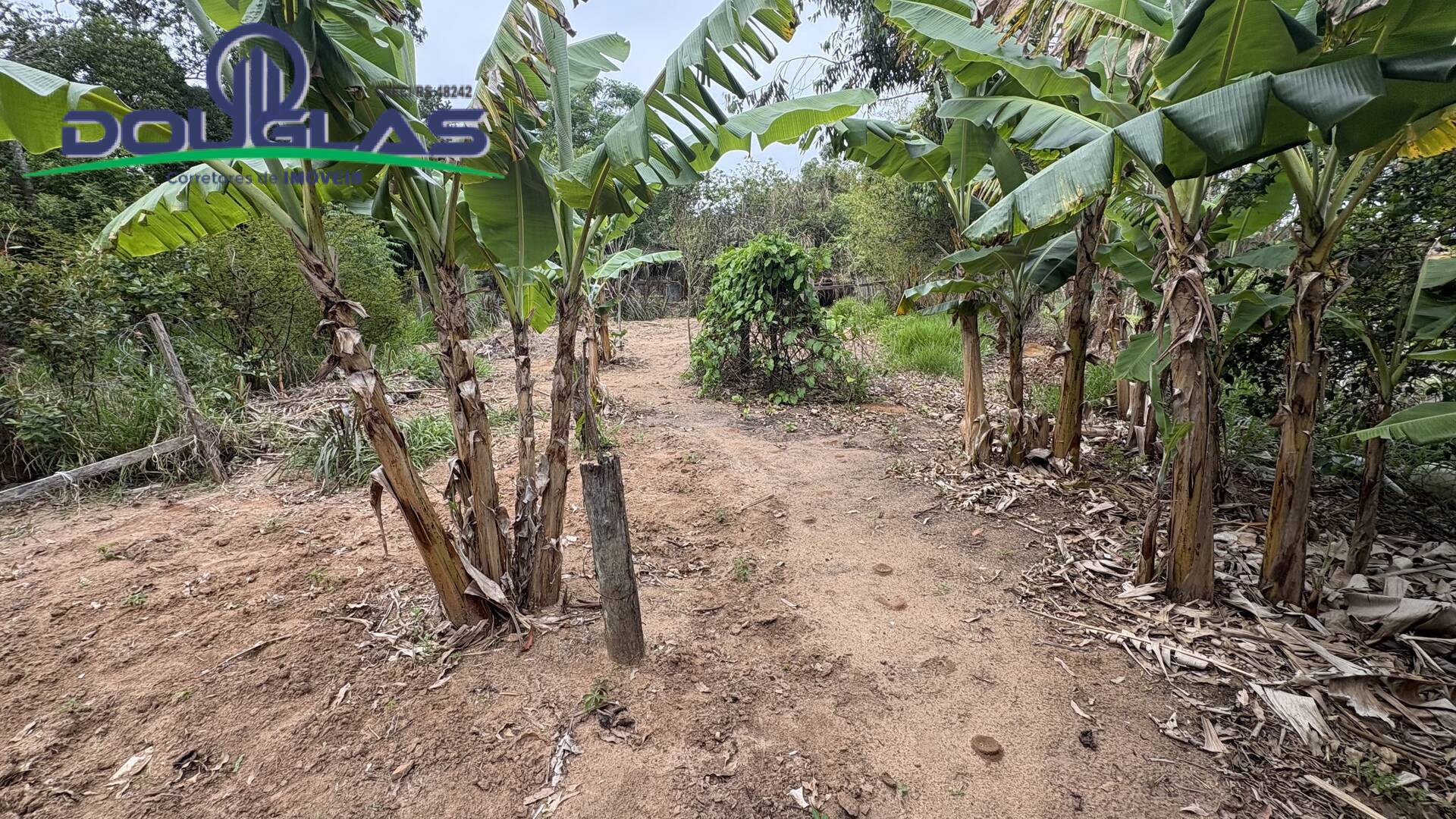 Casa, 2 quartos - Foto 15