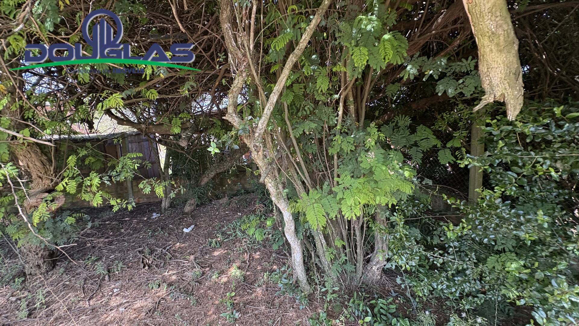 Casa, 2 quartos - Foto 16