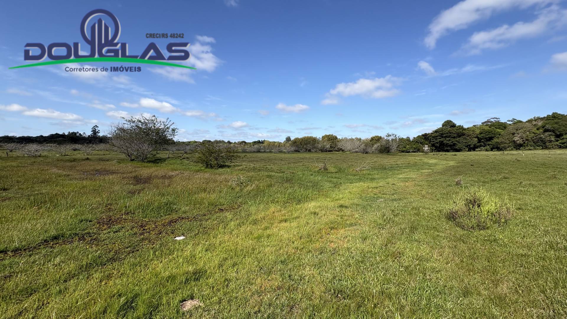 Terreno, 6 hectares - Foto 1