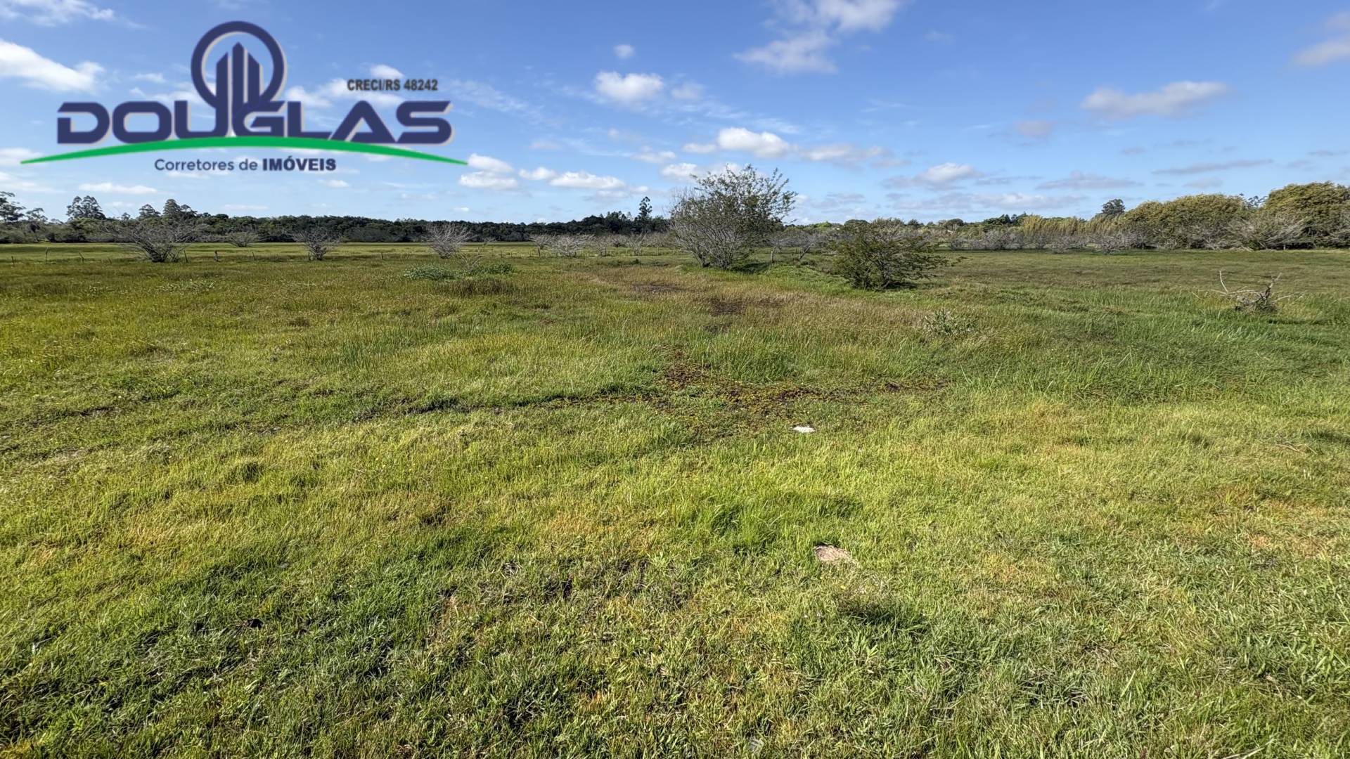 Terreno, 6 hectares - Foto 2