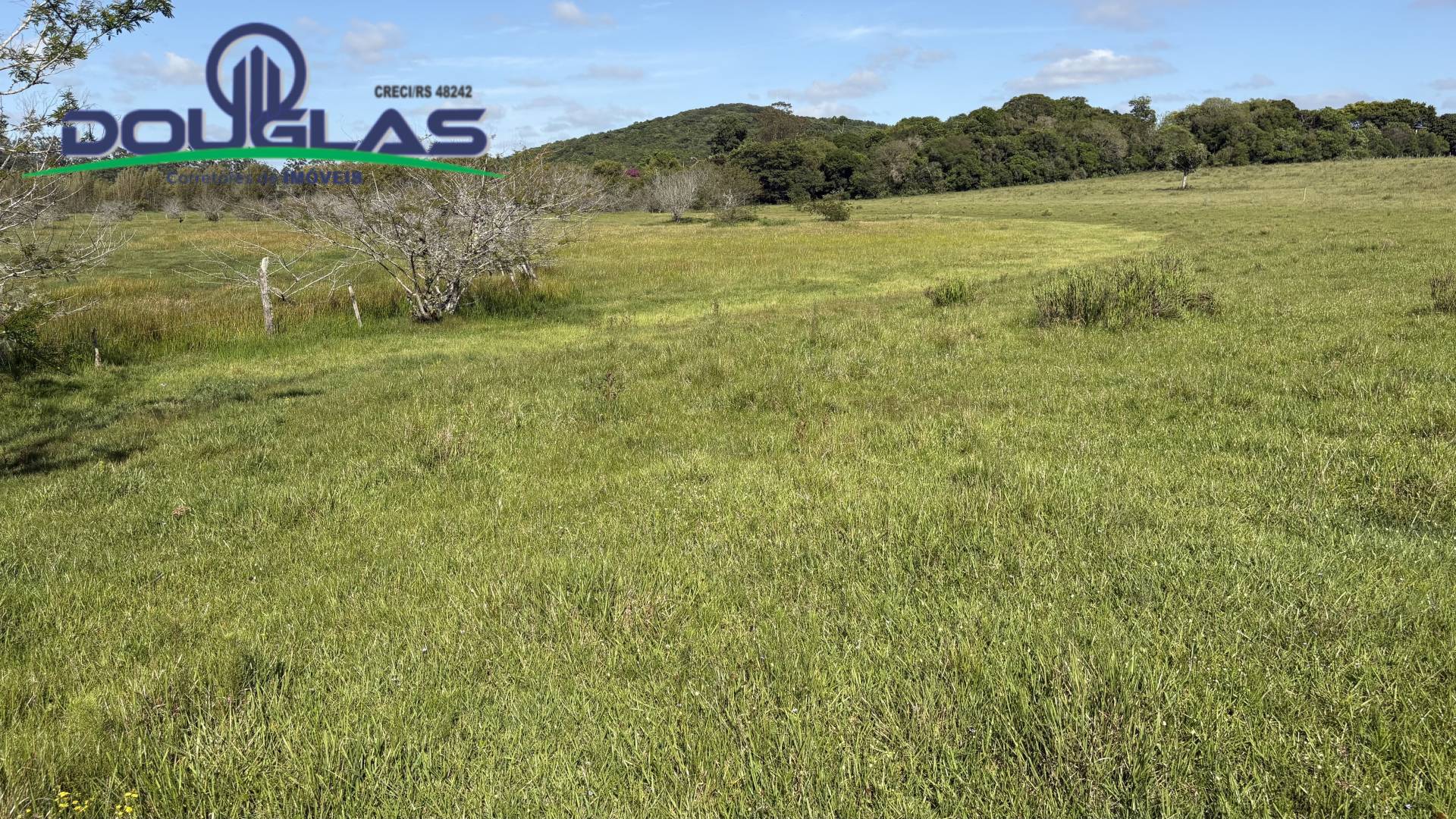 Terreno, 6 hectares - Foto 4