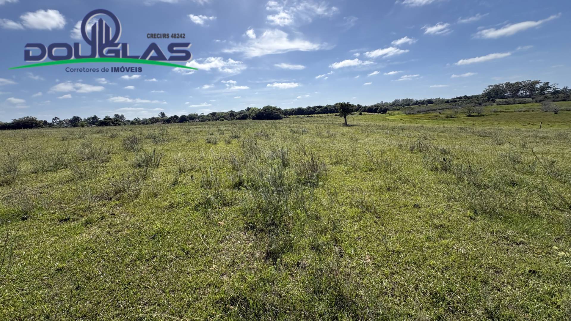 Terreno, 6 hectares - Foto 6