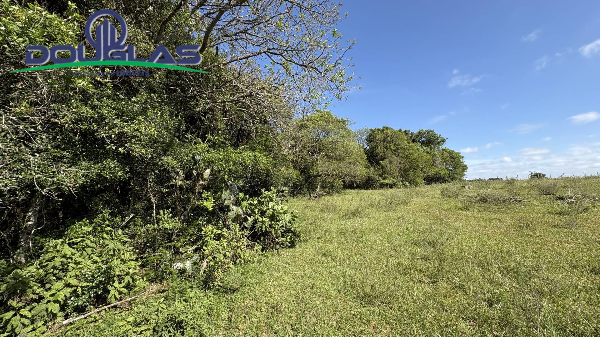 Terreno, 6 hectares - Foto 8