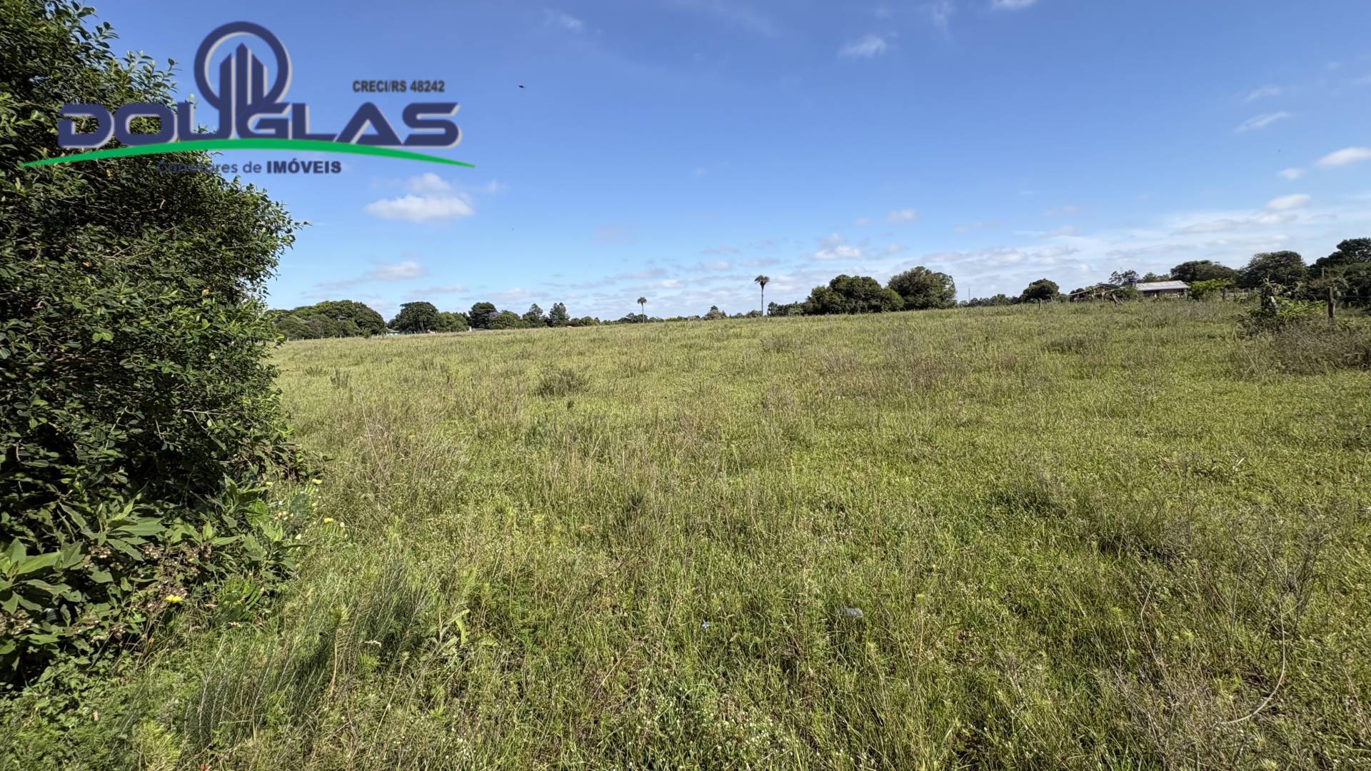 Terreno, 6 hectares - Foto 10