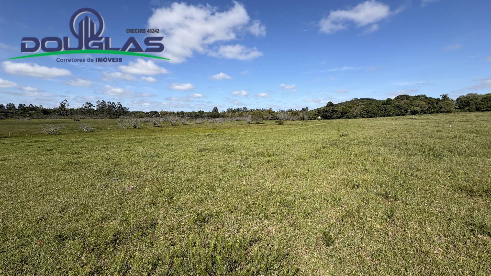 Terreno, 6 hectares - Foto 11