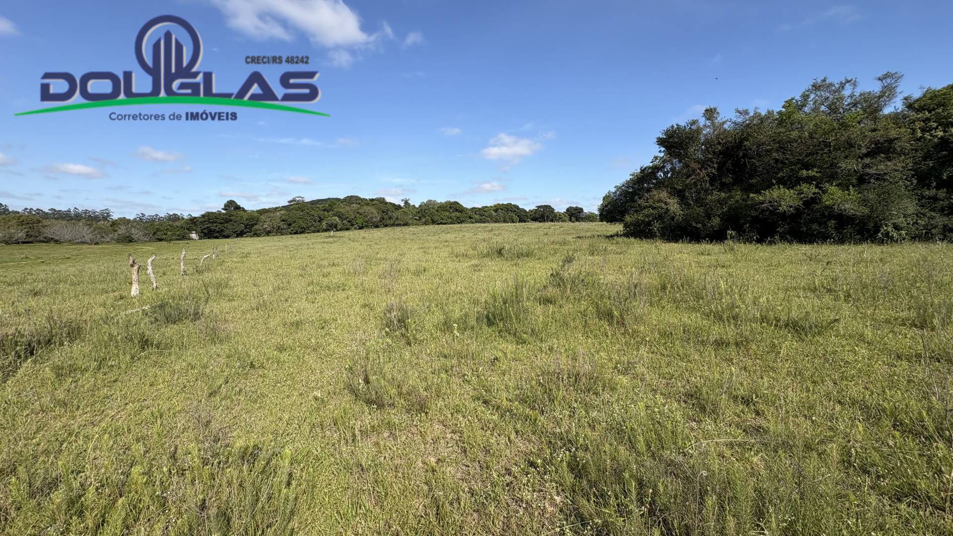 Terreno, 6 hectares - Foto 12