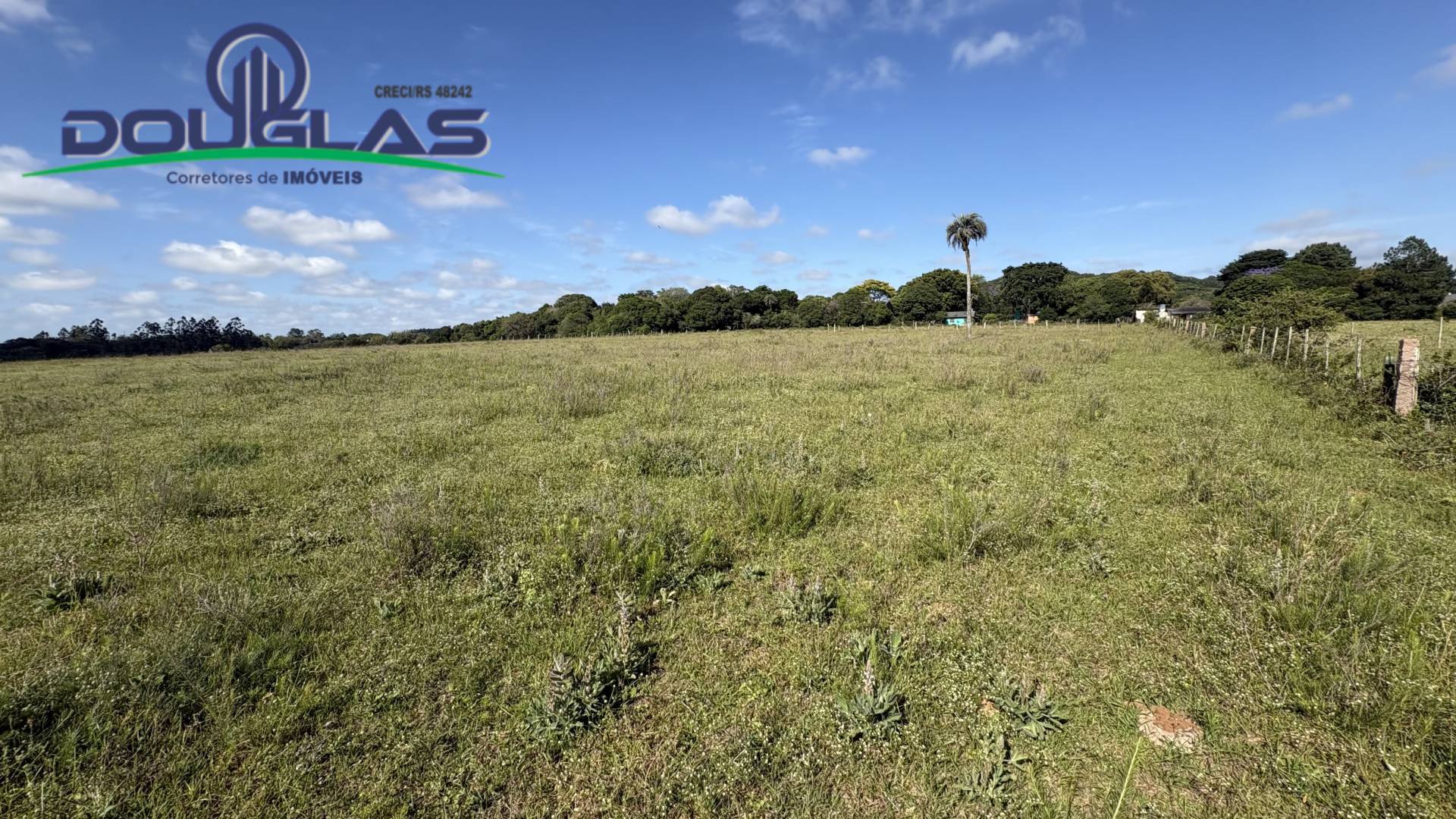 Terreno, 6 hectares - Foto 13