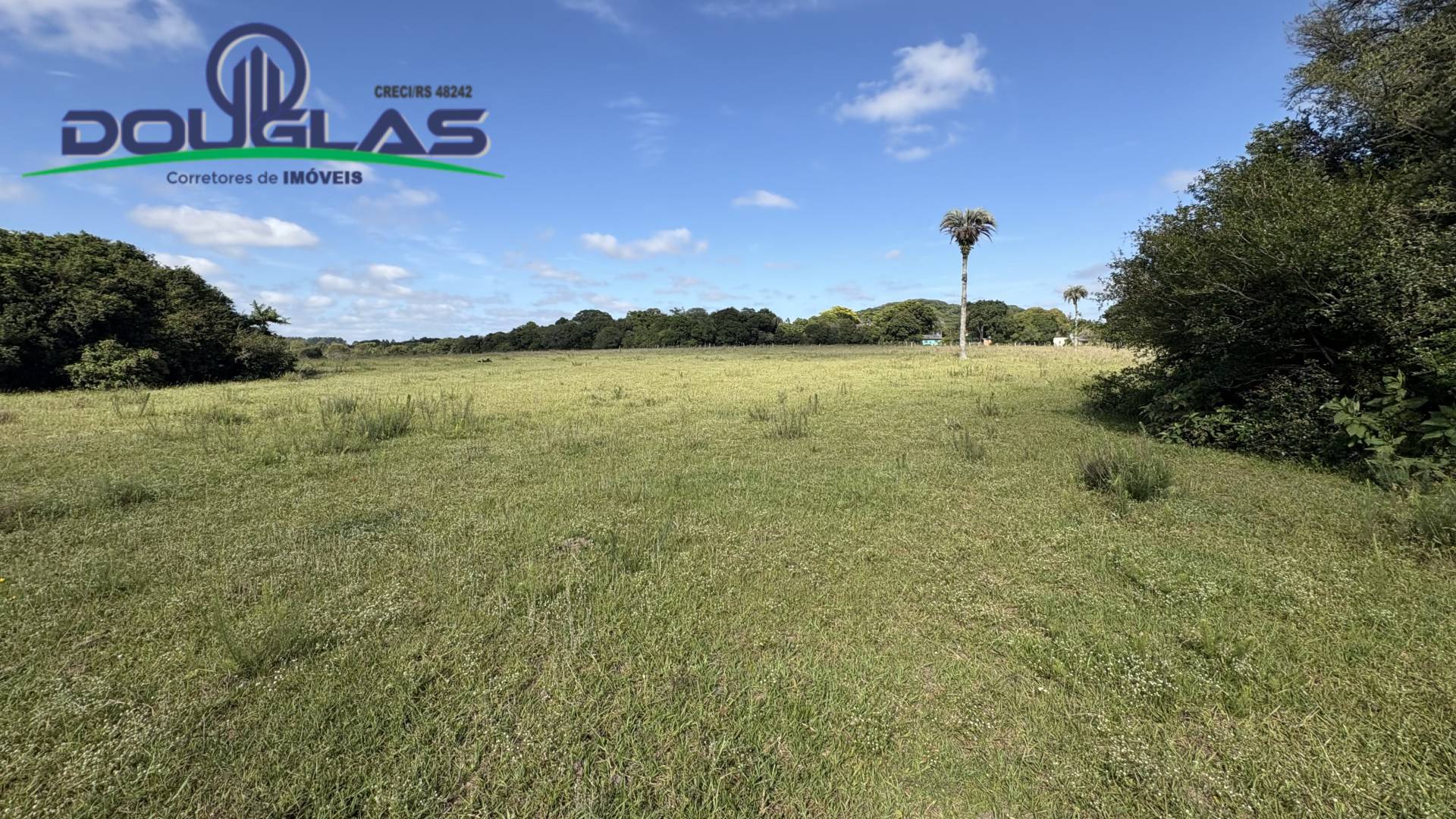 Terreno, 6 hectares - Foto 14