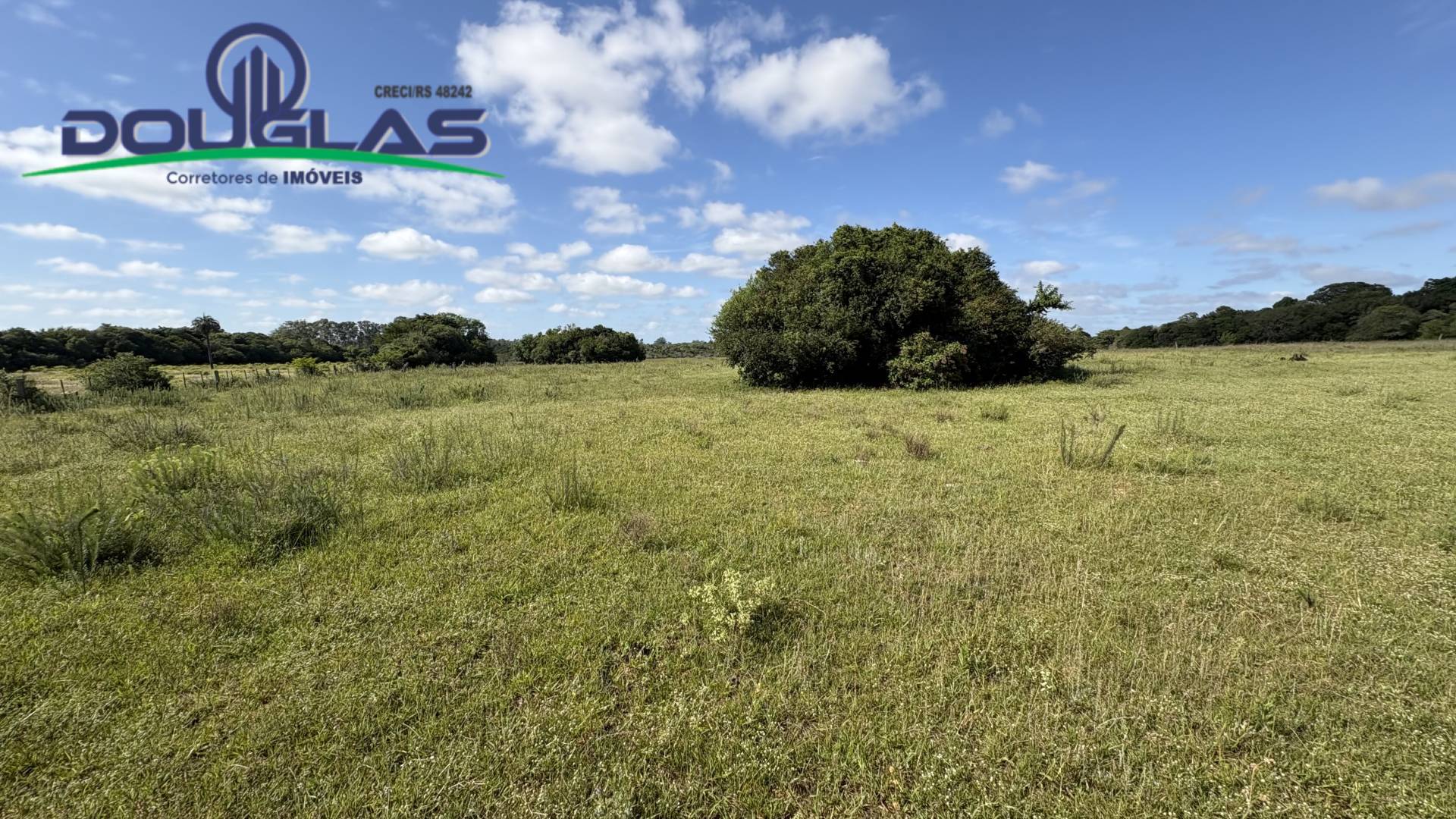 Terreno, 6 hectares - Foto 15